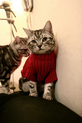 爱游戏在线-杜兰特神兵天降！掘金险胜独行侠背后，攻防两端统治力令人胆寒