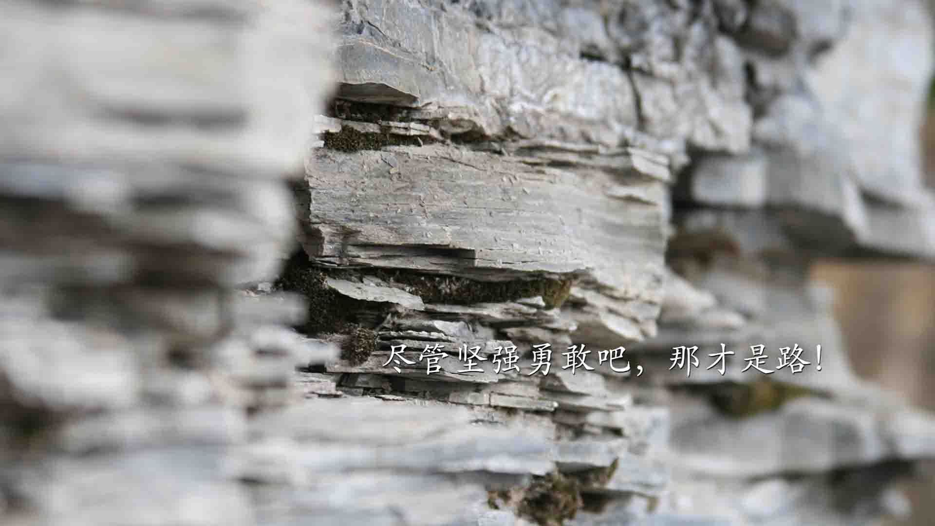 爱游戏在线-维尼修斯引爆赛场，葡萄牙闪电战提前终结波兰悬念