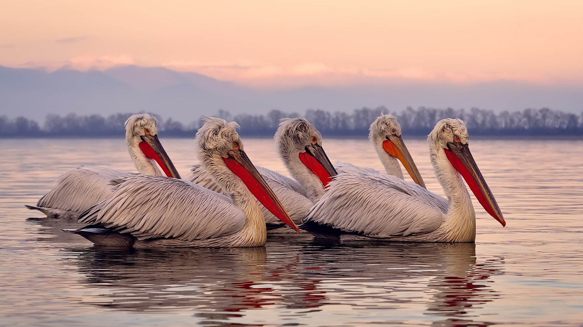 爱游戏在线-跨时空对决，拉文爆发引领灰熊关键战突围北京队