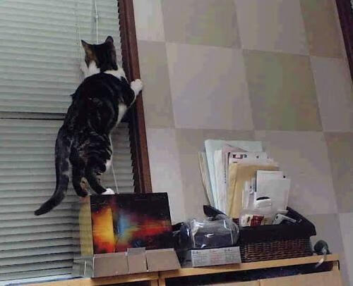 爱游戏体育-致命绝杀，当太阳队的终场哨与F1的最后弯道同时响起