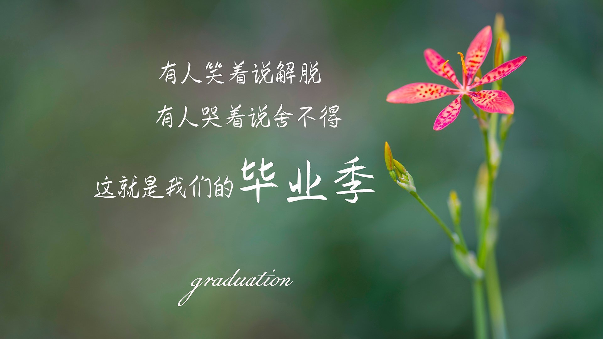 爱游戏在线-当伦纳德的巨掌伸向绿茵场，意甲焦点战之夜的防守启示