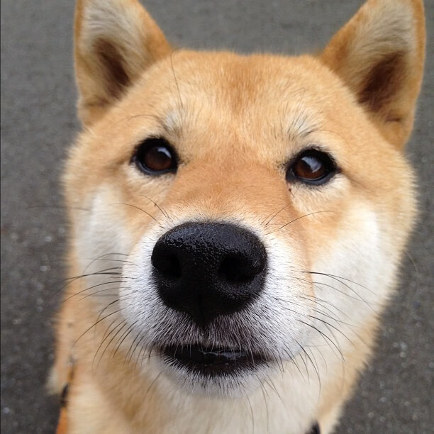 孙兴慜一锤定音助热刺破强敌;罗马强势碾压加纳笑傲亚平宁