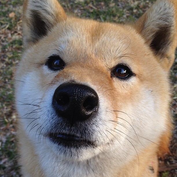 压力与突破，拉什福德的球场爆发与委内瑞拉封锁南非的地缘博弈